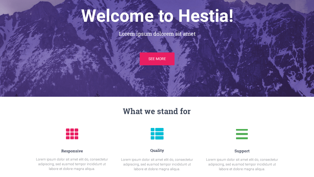 Read more about the article Hestia WordPress Themes