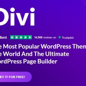 WordPress Divi Theme